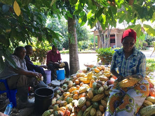 Ceremonial Cacao | Thriving Tanzania 100% Organic Cacao