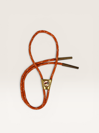 Vintage Fly Fishing Fly and Brass Bezel Bolo Tie