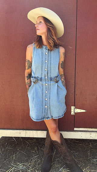 Silver Springs Denim Button Up Dress