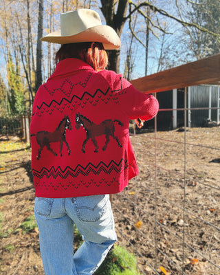 Show Pony Cardigan
