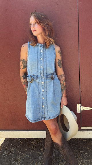 Silver Springs Denim Button Up Dress