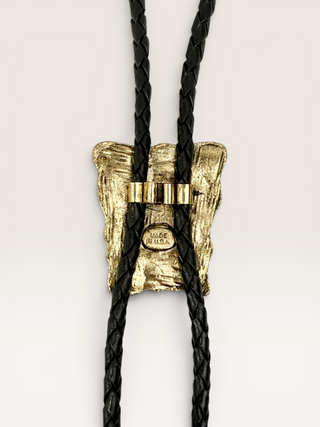 Vintage Brass and Carnelian Bezeled Bolo Tie
