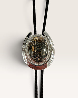 Turritella Fossil Agate Bolo Tie